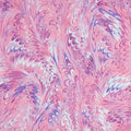 Flower Splendor - Marble Splendor Fuschia 2 Yard Cut