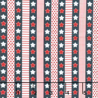 Americana Baby - Star Stripe Indigo Yardage