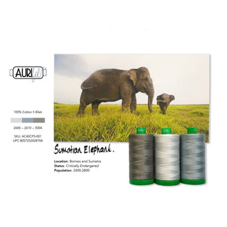AURIfil™ Color Builder 40WT - Sumatran Elephant