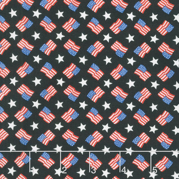 Red, White & Bloom - Tossed Flags And Stripes Black Yardage