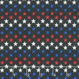 Red, White & Bloom - Stars In A Row Black Yardage