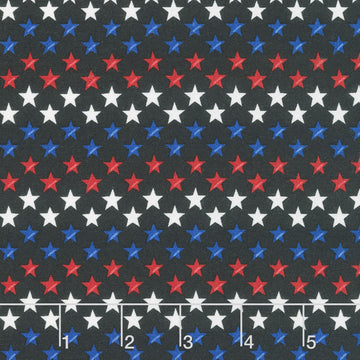 Red, White & Bloom - Stars In A Row Black Yardage