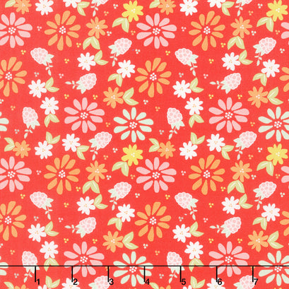 Raspberry Summer - Spring Berries Raspberry Yardage