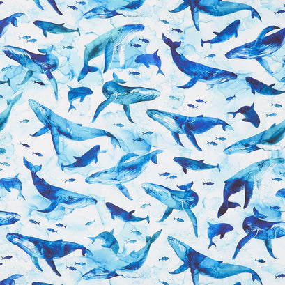 Deep Blue - Whales White Multi Yardage