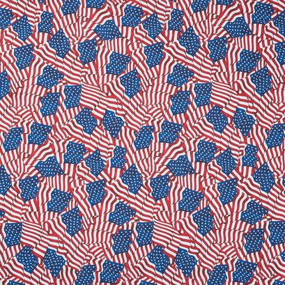 Stonehenge - Flag Navy Multi 108" Wide Backing