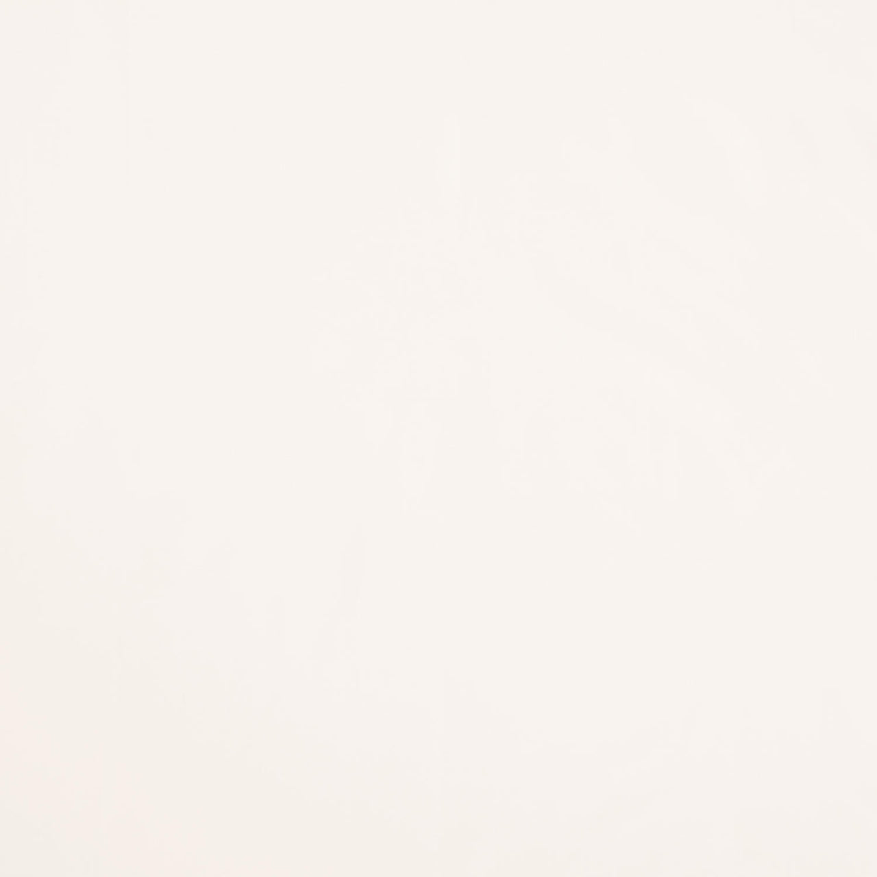 Colorworks Premium Solids - Snow 108" Wide Backing