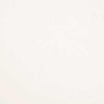 Colorworks Premium Solids - Snow 108" Wide Backing