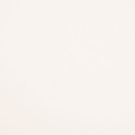 Colorworks Premium Solids - Snow 108" Wide Backing