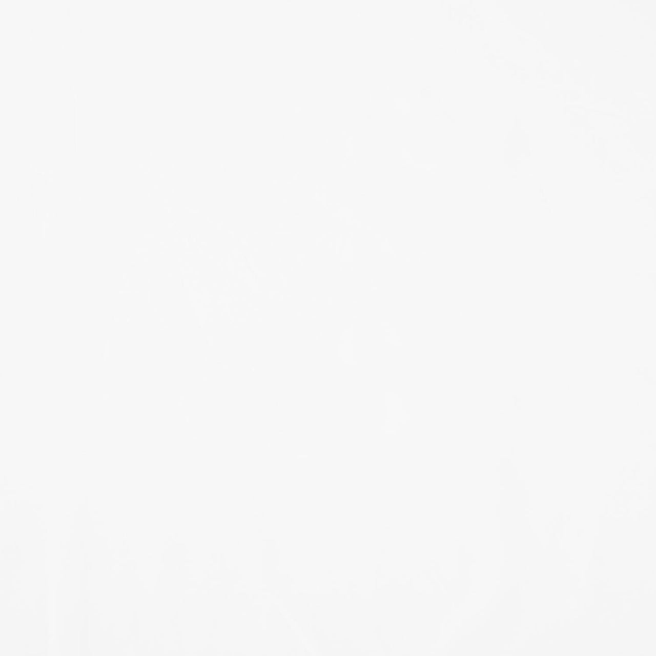 Colorworks Premium Solids - Super White 108" Wide Backing