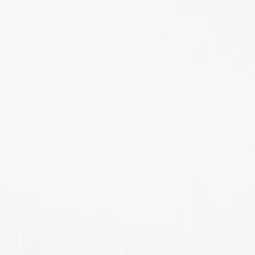 Colorworks Premium Solids - Super White 108" Wide Backing