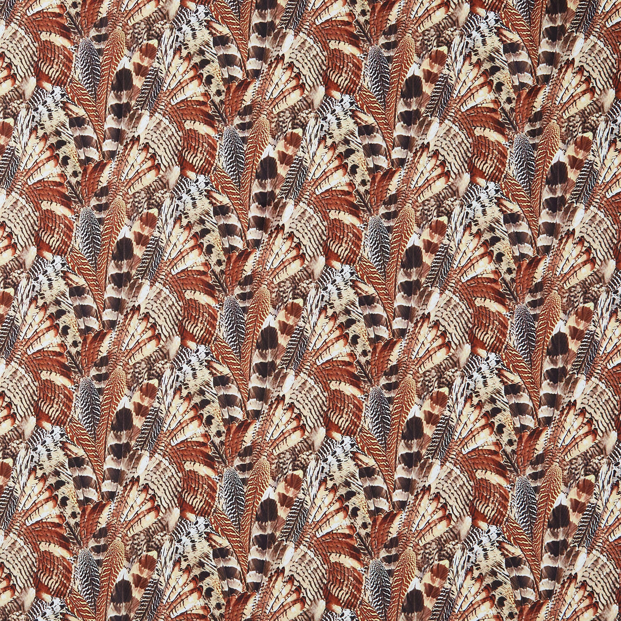 Naturescapes - Pheasant Grove Feathers Rust Multi Yardage