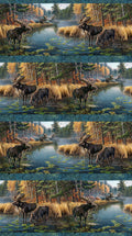 Naturescapes - Autumn Woodland Moose Scenic Border Stripe Blue Multi Yardage