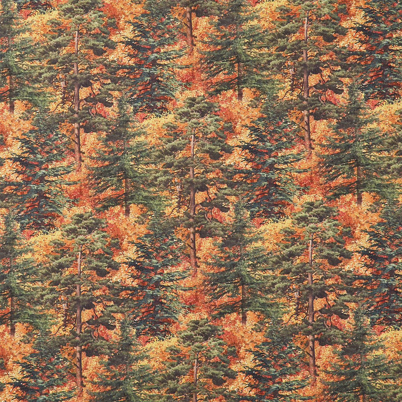 Naturescapes - Autumn Woodland Trees Rust Yardage