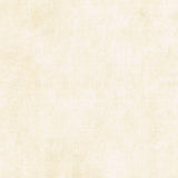 Canvas Flannel Backing - Canvas French Vanilla 108" Wide Backing