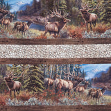 Naturescapes: Timber Trail - Elk Border Stripe Taupe Multi Yardage