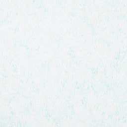 Coral Reef - Tonal Coral White/Turquoise Yardage