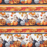 Night Owl - Border Stripe Charcoal Multi Yardage