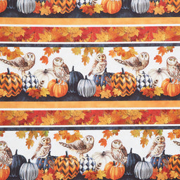 Night Owl - Border Stripe Charcoal Multi Yardage