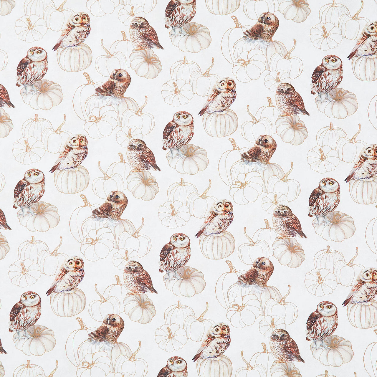 Night Owl - Owls Cream Multi Yardage
