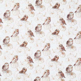 Night Owl - Owls Cream Multi Yardage