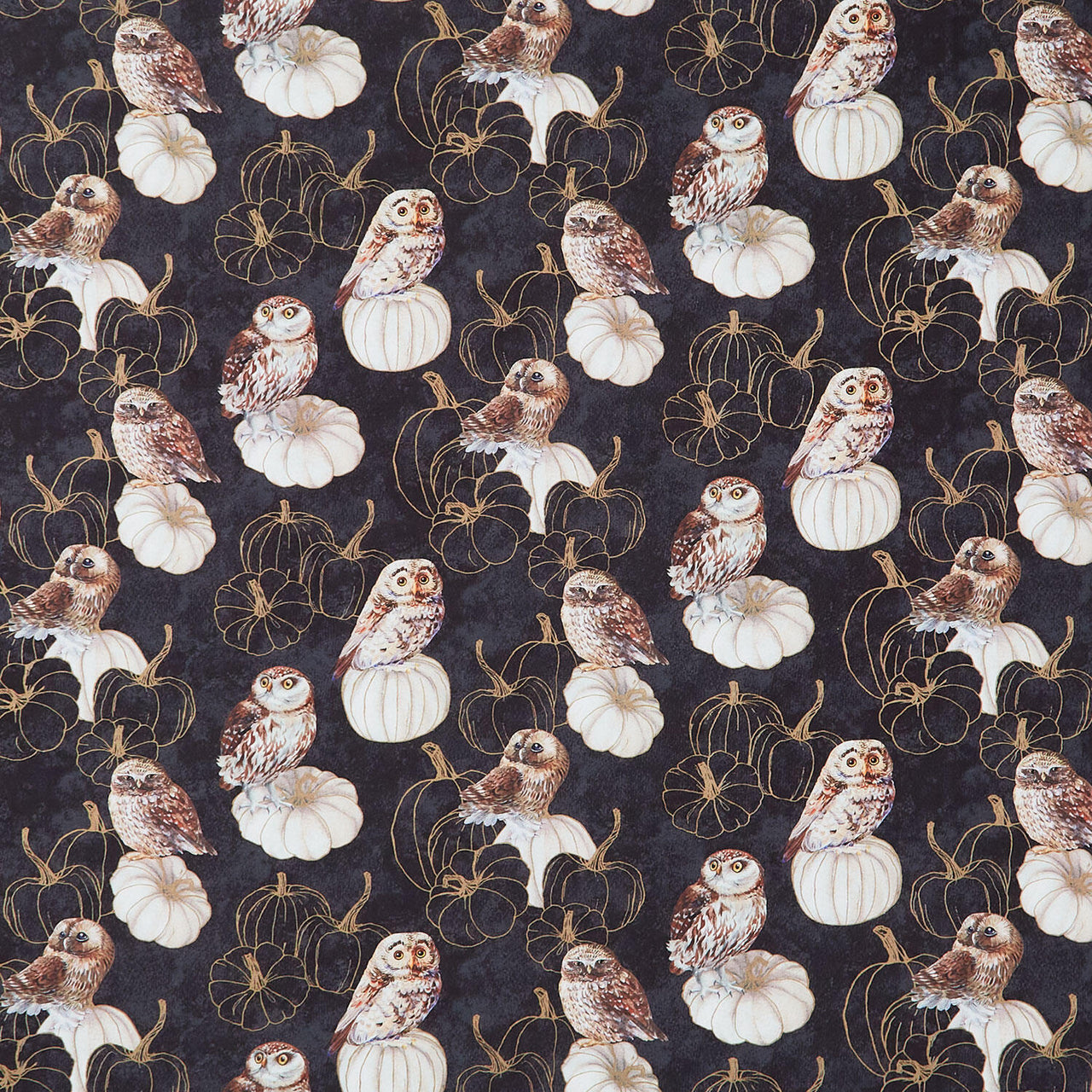 Night Owl - Owls Black Multi Yardage