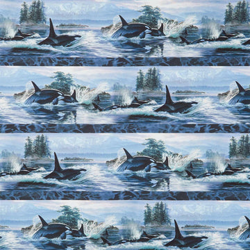Naturescapes - Voyage Border Stripe Blue Multi Yardage