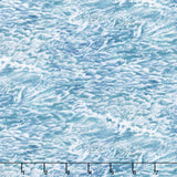 Naturescapes - Voyage Waves Blue Multi Yardage