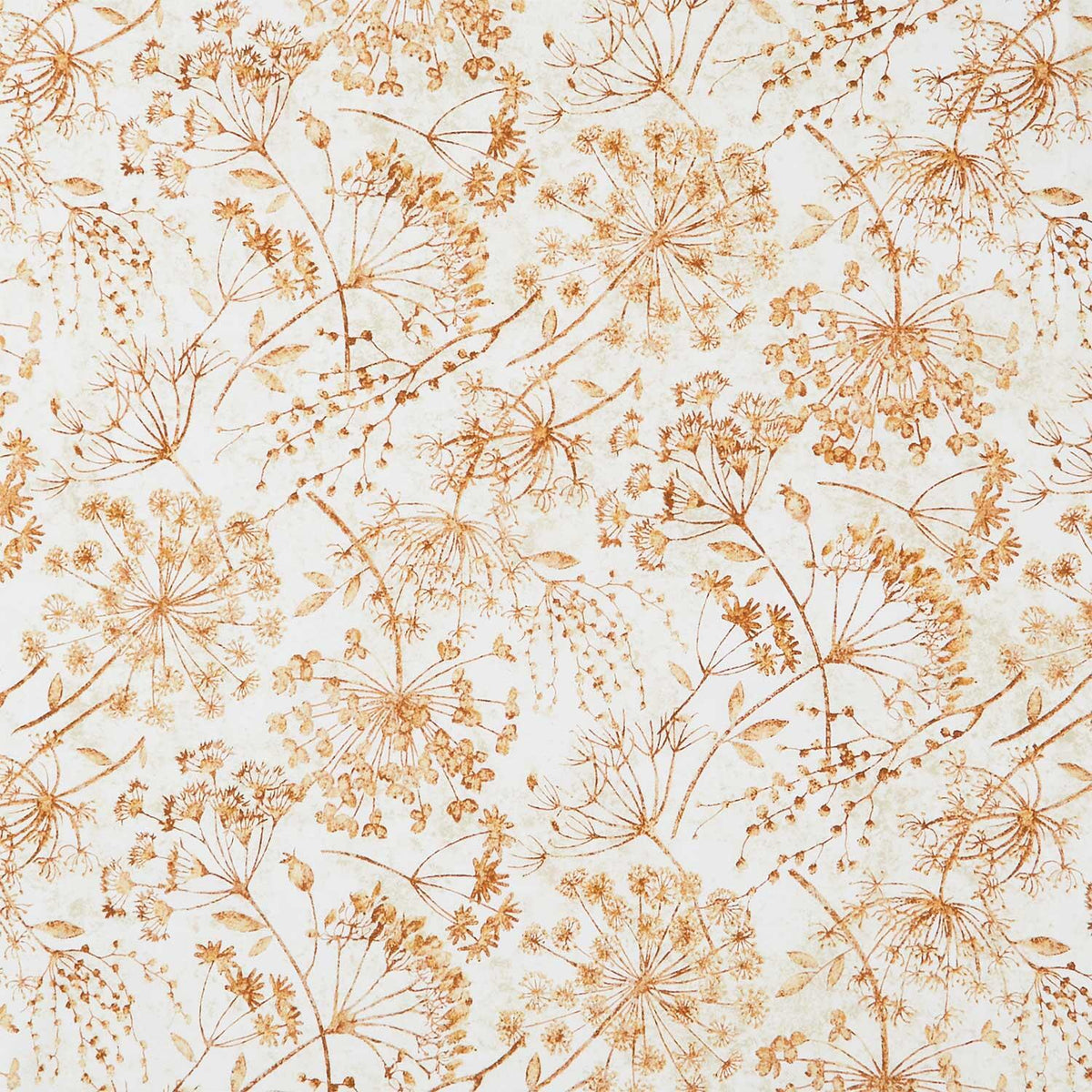 Stonehenge - Organics Queen Anne's La Cream Rust Yardage