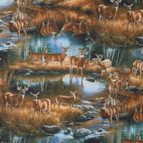 Birchwood - Scenic Tan Multi Yardage