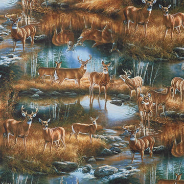 Birchwood - Scenic Tan Multi Yardage