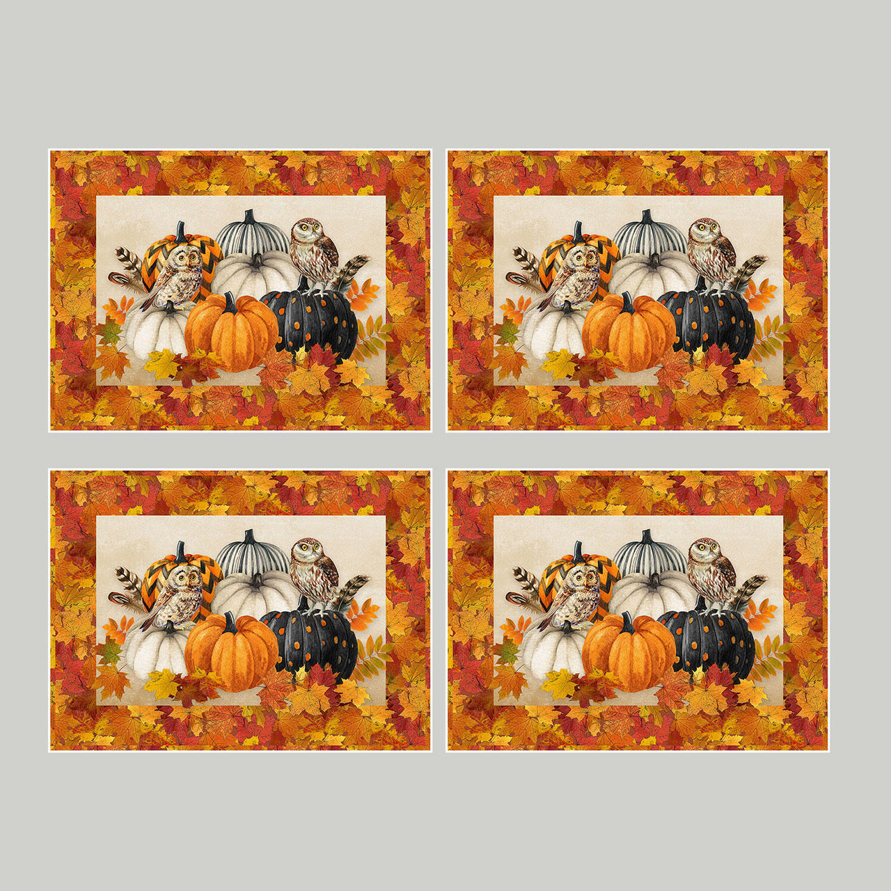 Night Owl Placemats Kit
