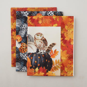 Night Owl Placemats Kit