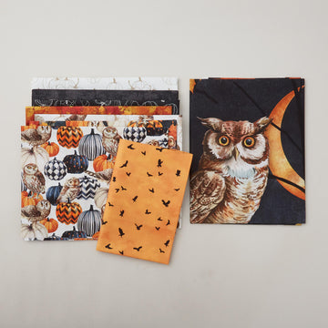 Night Owl Pages Upon Pages Quilt Kit