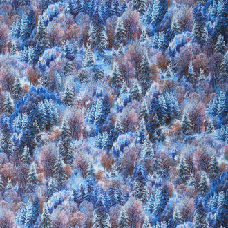 The Night Before Christmas - Frosty Forest Blue Yardage