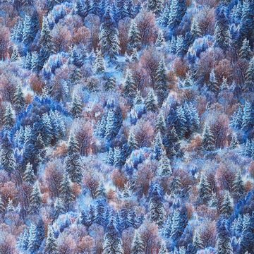 The Night Before Christmas - Frosty Forest Blue Yardage