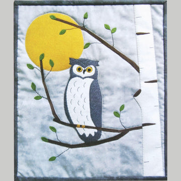 Night Owl Wall Hanging Kit