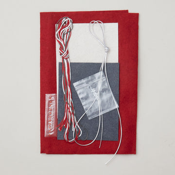 Winter Mittens Ornaments Kit