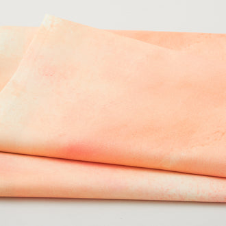 Sky Favorites - Ombre Shell 2 Yard Cut