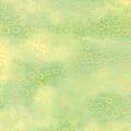 Chromaticity - Circles Pear Metallic 2 Yard Cut