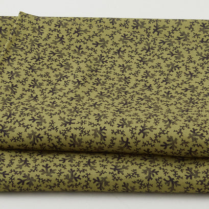 Meyer House Favorites - Green Coral 2 Yard Cut