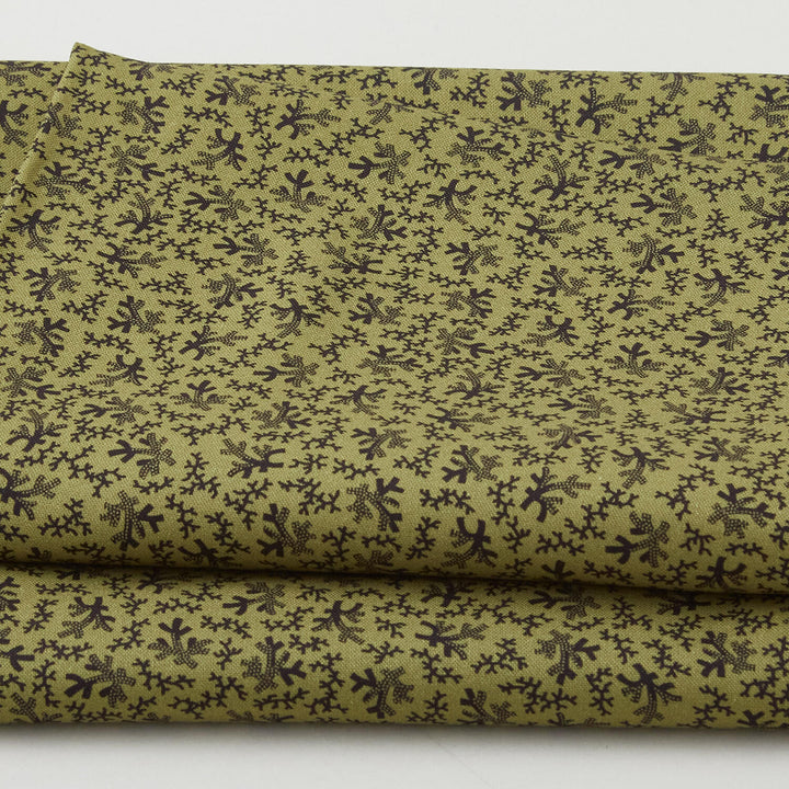 Meyer House Favorites - Green Coral 2 Yard Cut