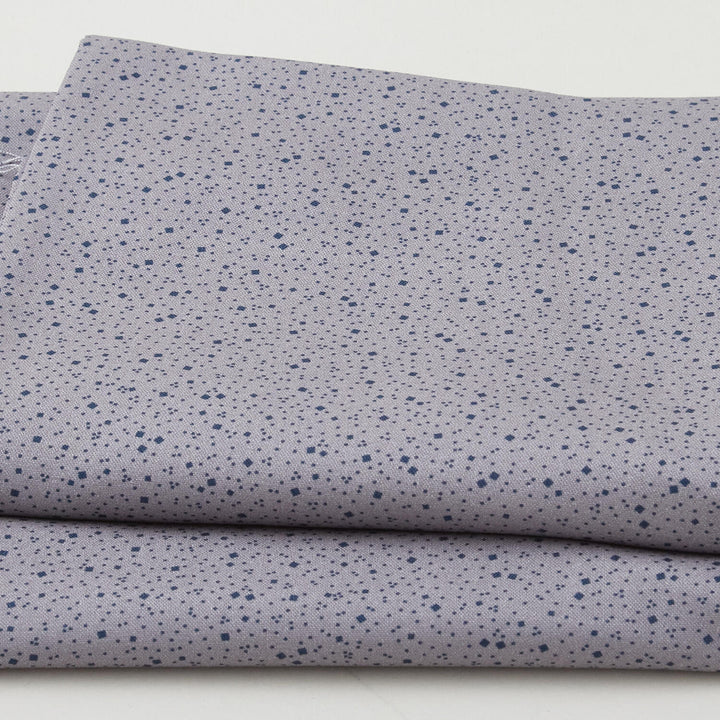 Meyer House Favorites - Grey Tossed Square 2 Yard Cut