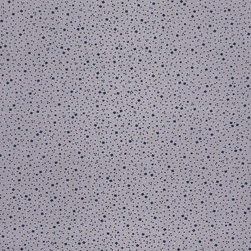 Meyer House Favorites - Grey Tossed Square 2 Yard Cut