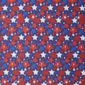 Summer Stars - Stars Multi 2 Yard Cut
