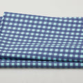 Citrus & Sunshine - Gingham Navy 2 Yard Cut