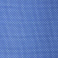 Blossoms & Bows - Pindots Blue 2 Yard Cut