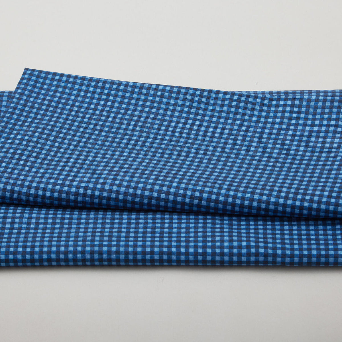 Petal Parade - Blue Gingham 2 Yard Cut