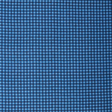 Petal Parade - Blue Gingham 2 Yard Cut