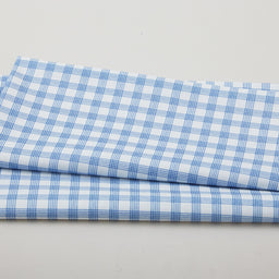 Petal Parade - Blue Plaid 2 Yard Cut