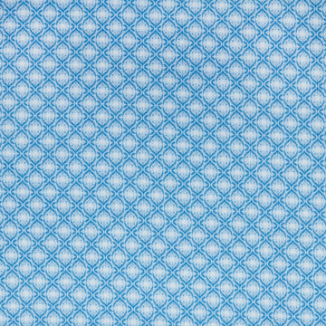 Enchanted Garden - Blue Geo 2 Yard Cut